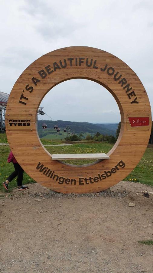 Ferienwohnung Mohnwiese Und Blumenwiese Willingen  Extérieur photo