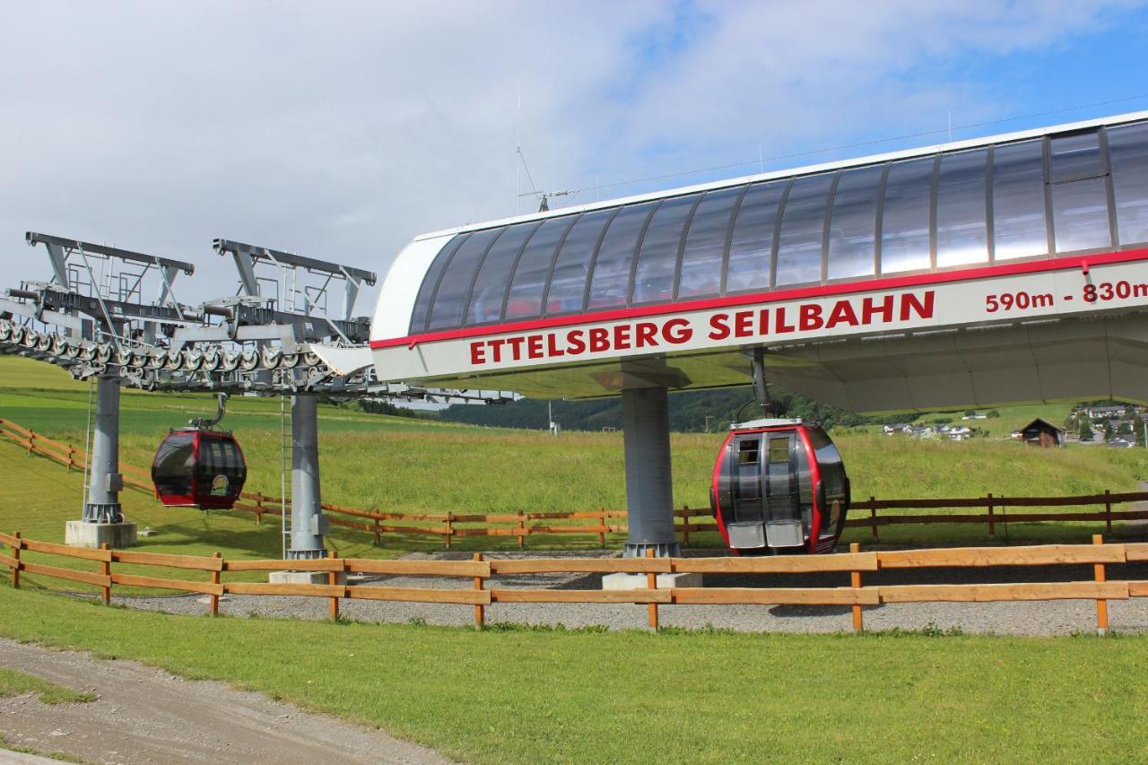 Ferienwohnung Mohnwiese Und Blumenwiese Willingen  Extérieur photo